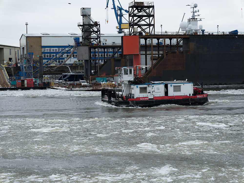 B0000534.jpg