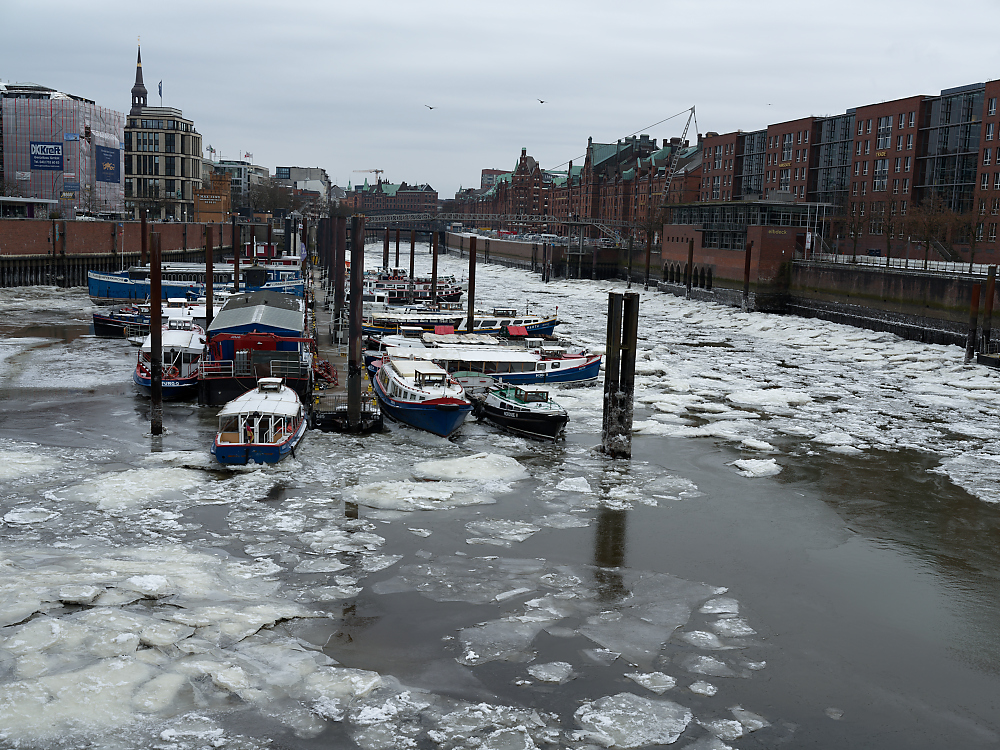 B0000548.jpg