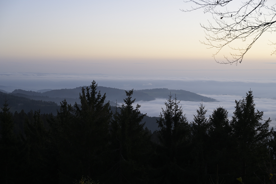 B500_Mummelsee_Zf_DSC0100_12x18x150.jpg