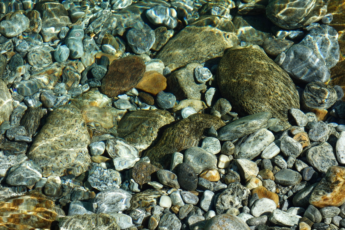 Bachbett der Verzasca.jpg