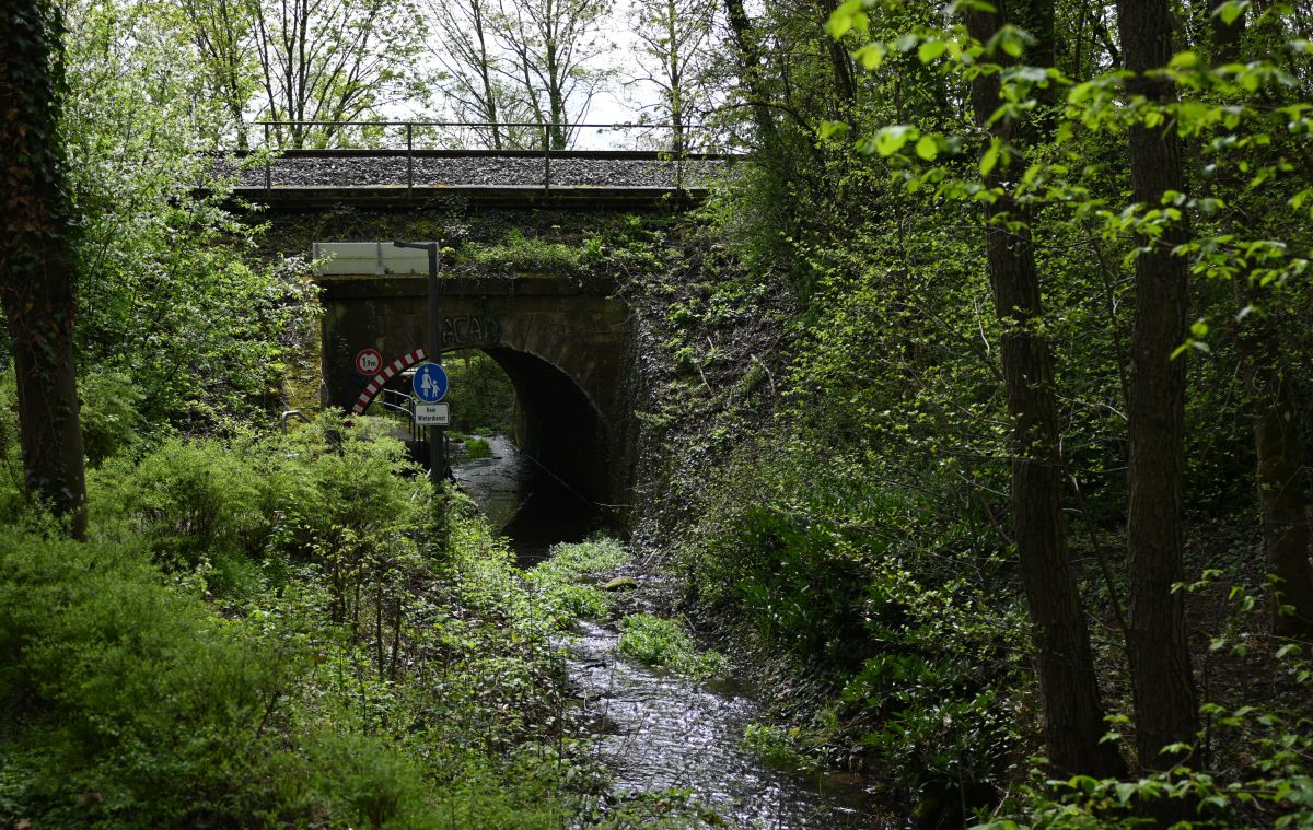 Bachlauf Eisenbahnbrücke Z fc 28mm.jpg
