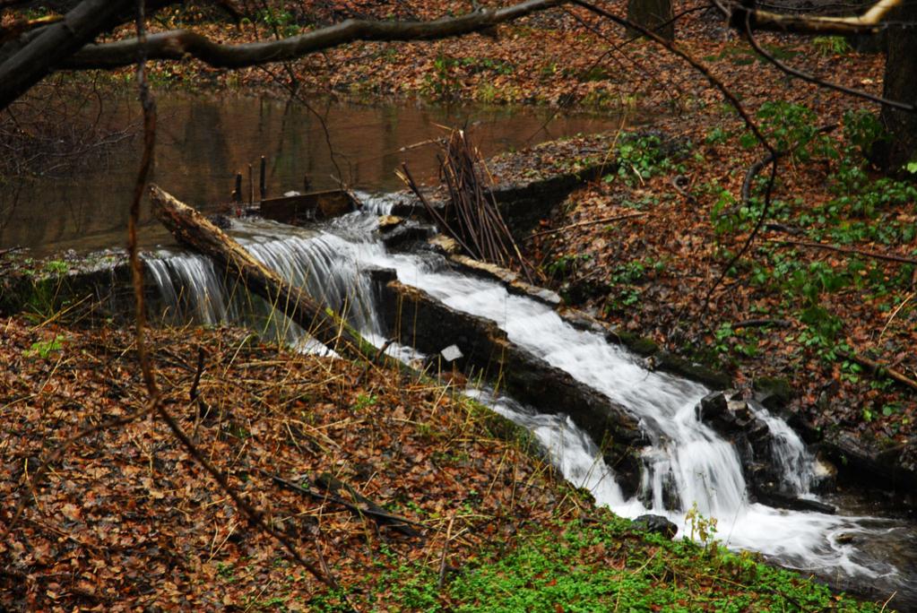 Bachlauf im Herbst