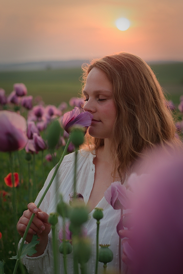 Back to the Mohn