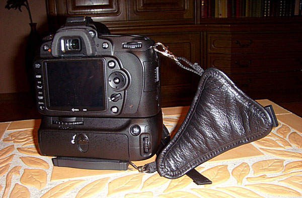 back