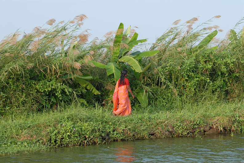 Backwaters (Kerala)