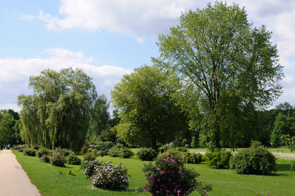 bad kissingen JKK 0804 7814