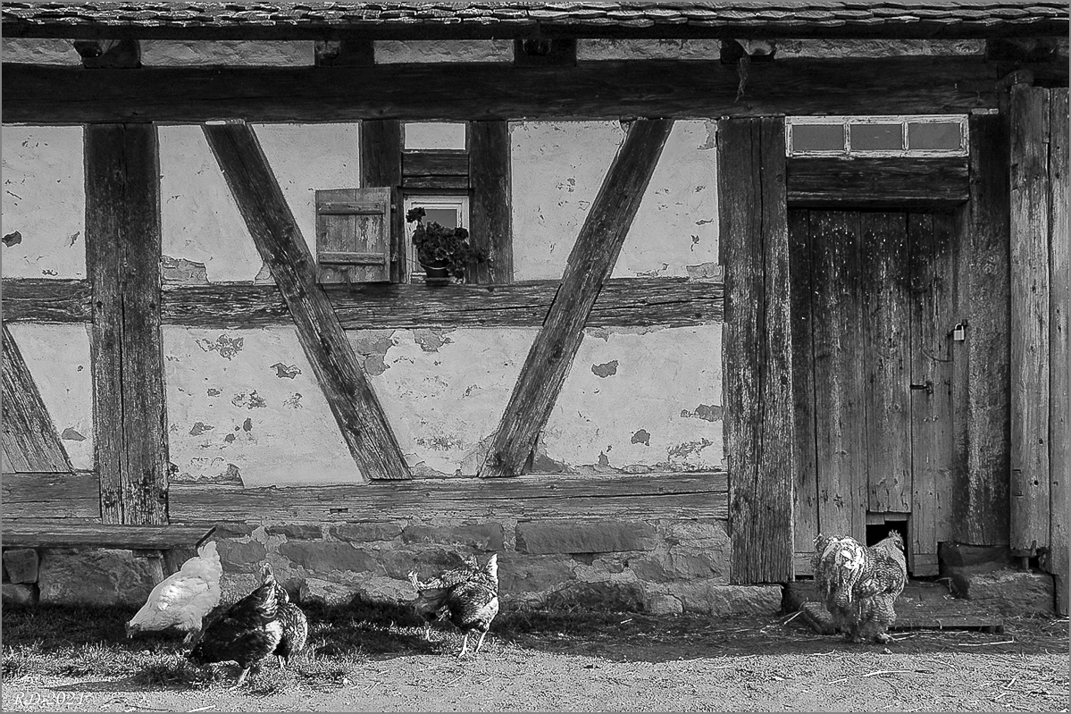 BadWindsheim-47.jpg