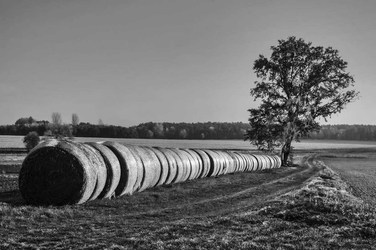 Ballenweg 2 BW.jpg