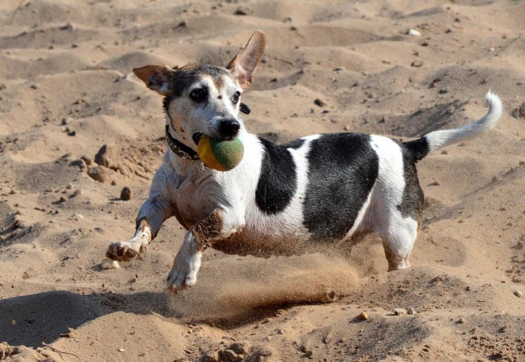 Balls on beach