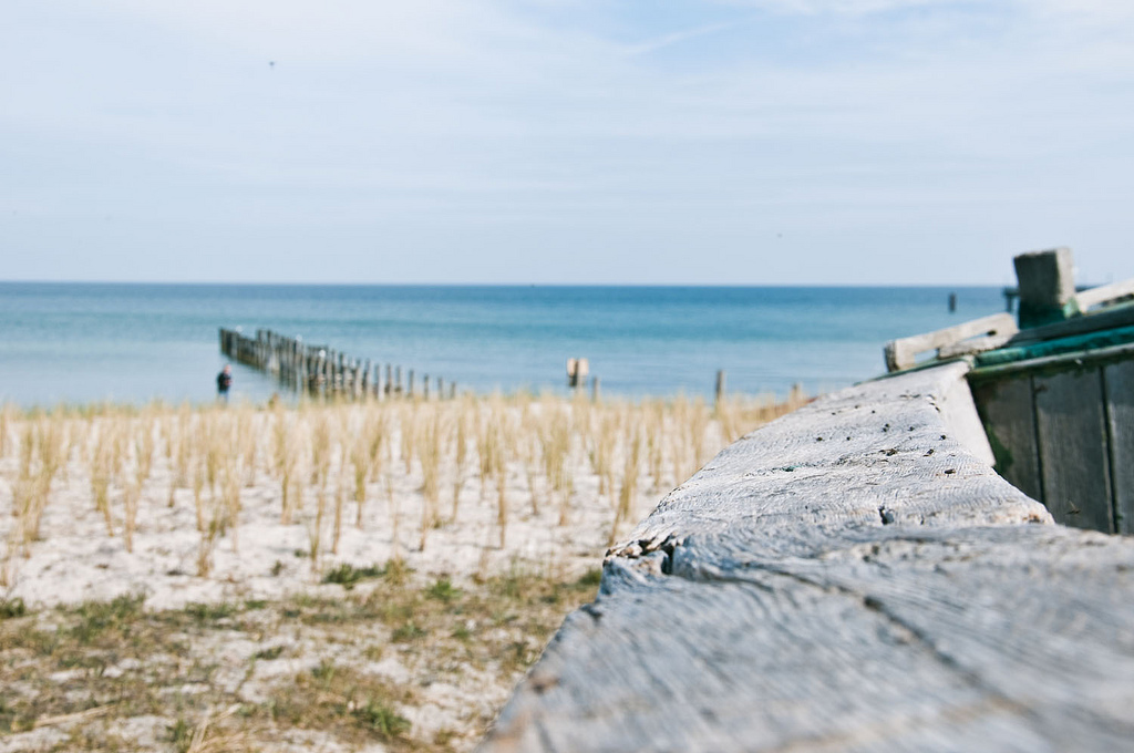 Baltic Sea Flavour