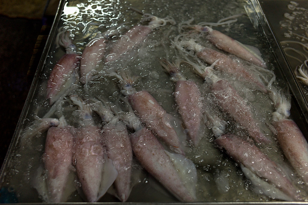 bangkok klong toey market 1016150