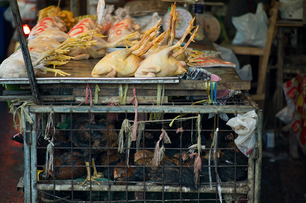 bangkok klong toey market 1016369