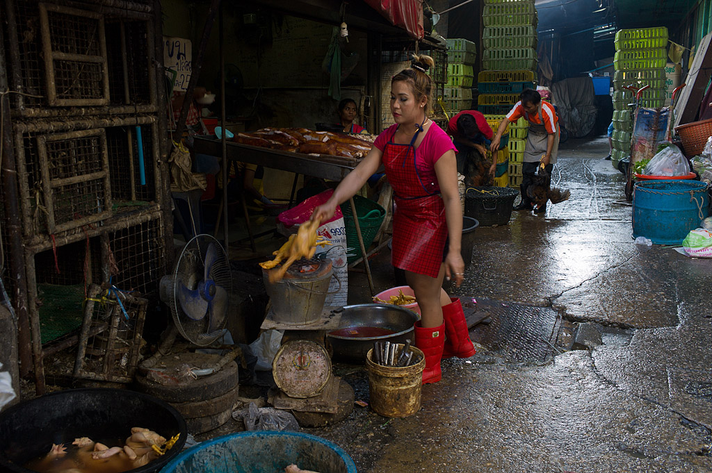 bangkok klong toey market 1016398