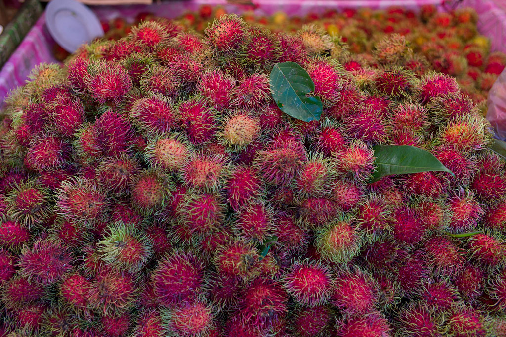 bangkok klong toey market 1016448
