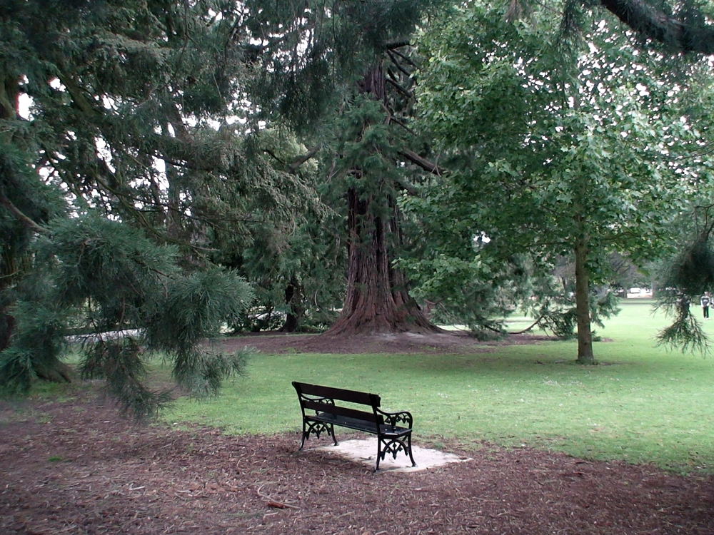 bank 1 botanic garden christchurch 01 29 07 NZ HC3 817