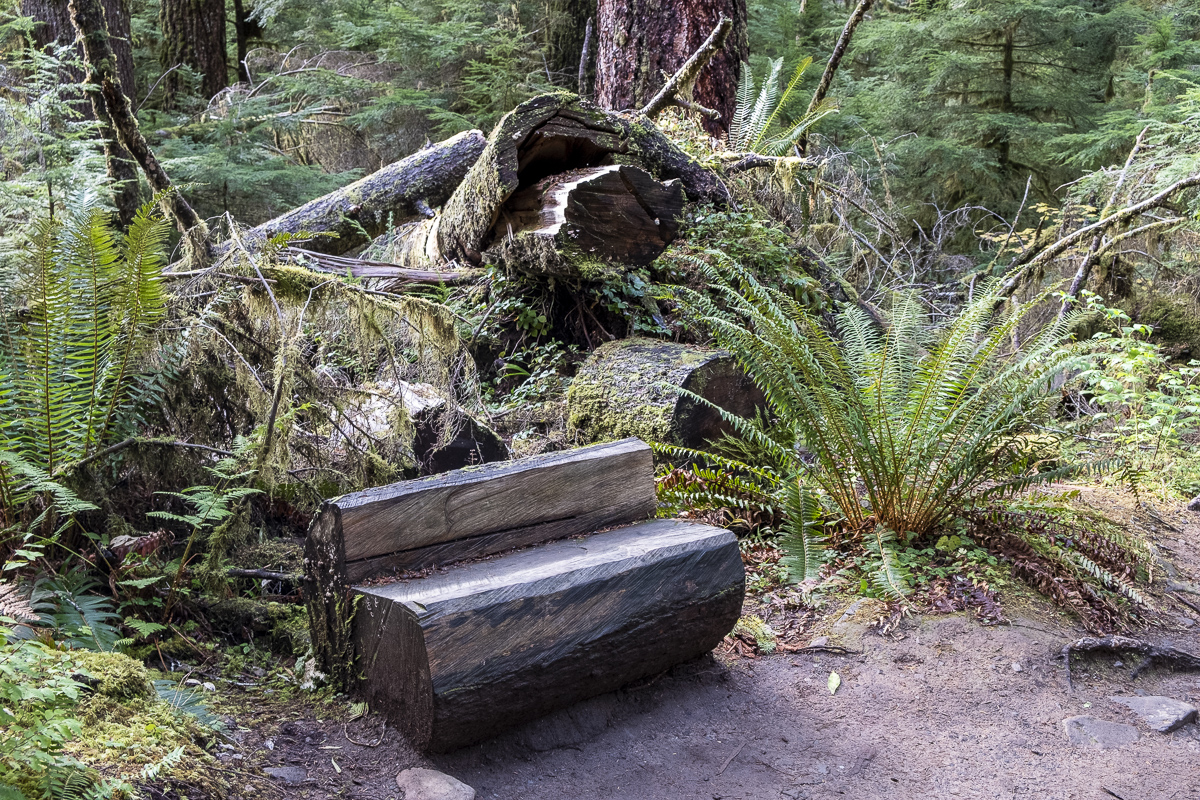 Bank Olympia NP.jpg