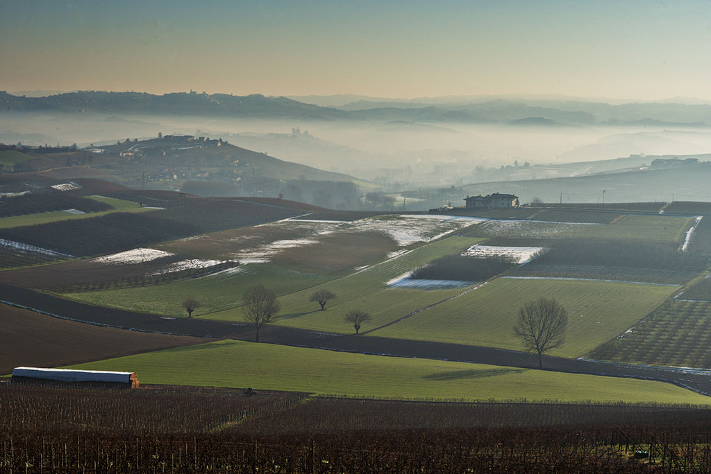 barolo morning