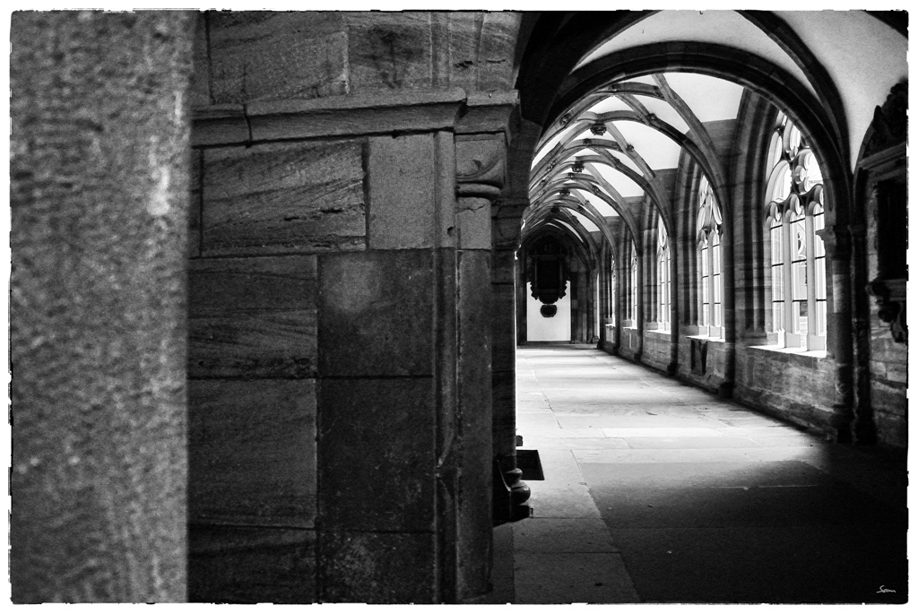 BaselDSC 3029