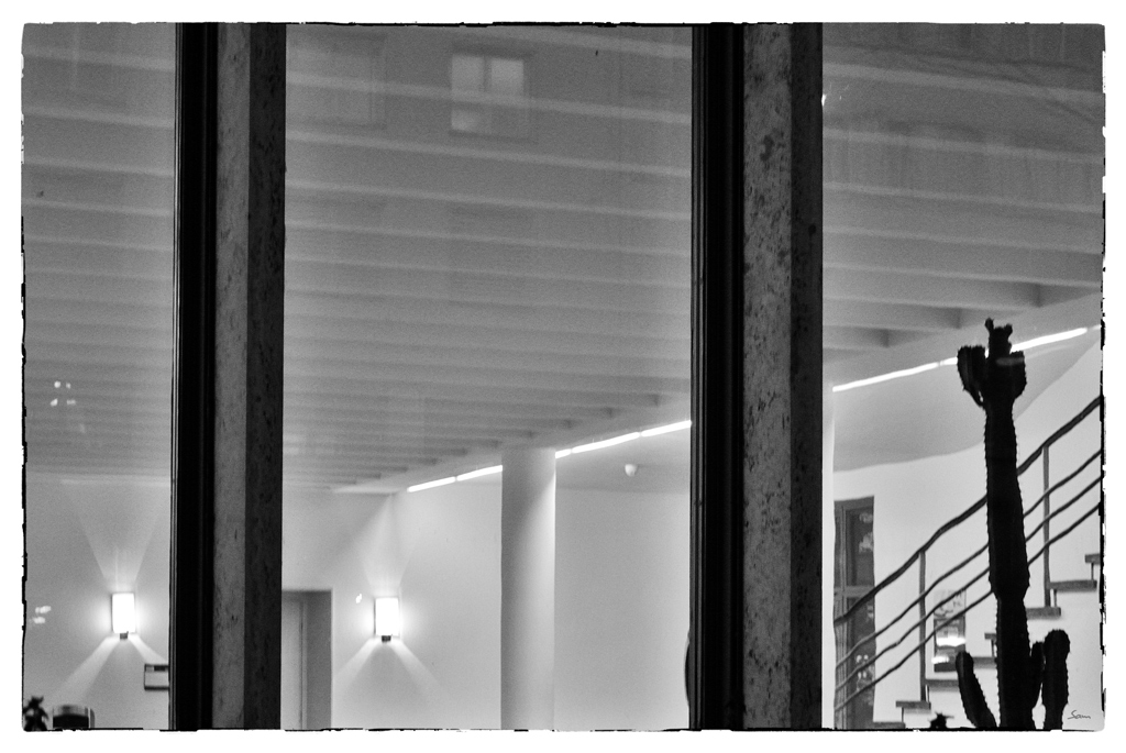 BaselDSC 3062