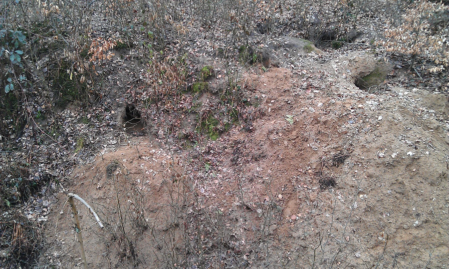 Bau34 (1)