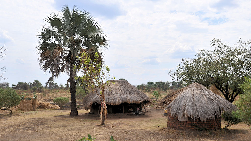 Bauernhof in Mfuwe
6131