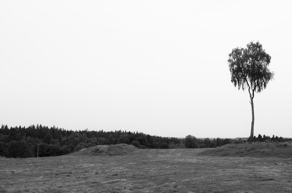 baum ganz allein sw