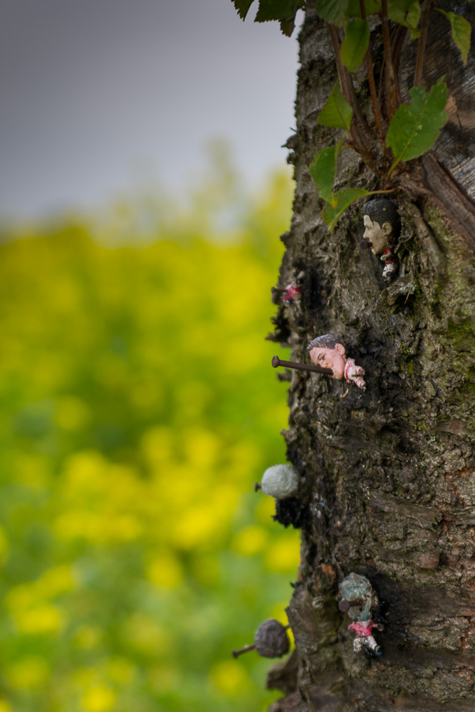 Baum genagelt