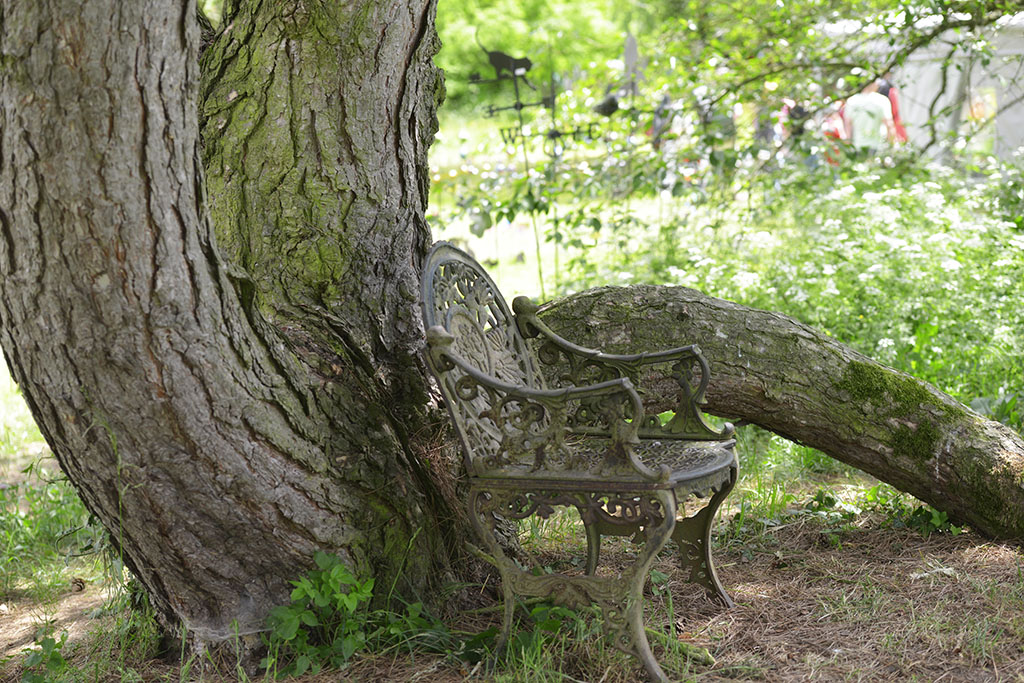 Baum mit Stuhl