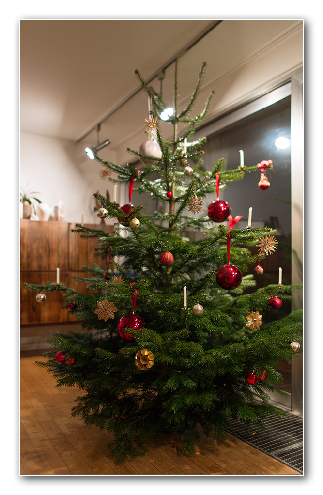 baum1