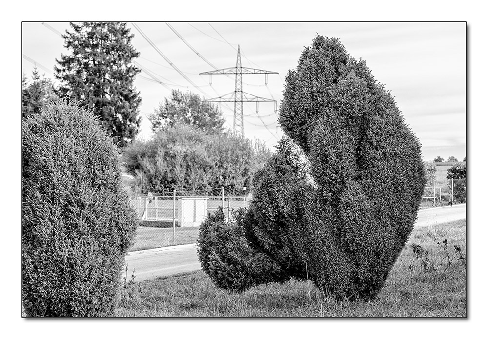 Baum10