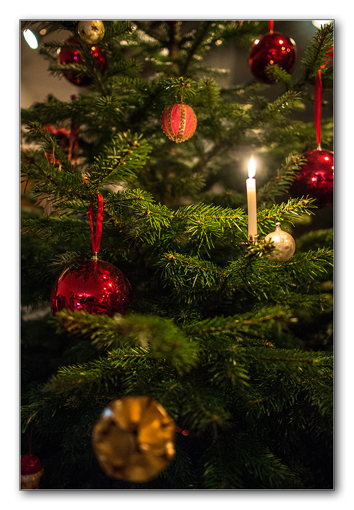 baum2