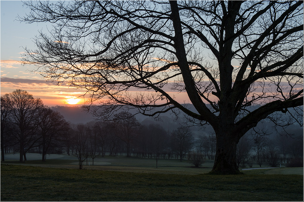 baum2