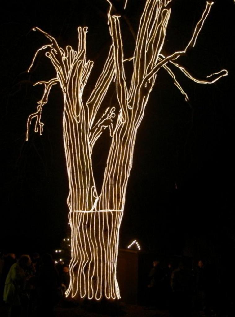 Baum2