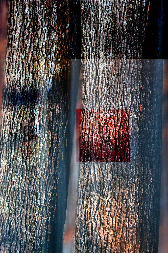 baumhex1