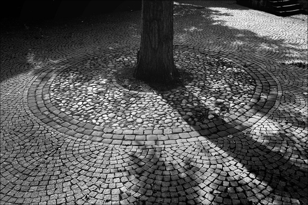 Baumpflaster 09 / 2010