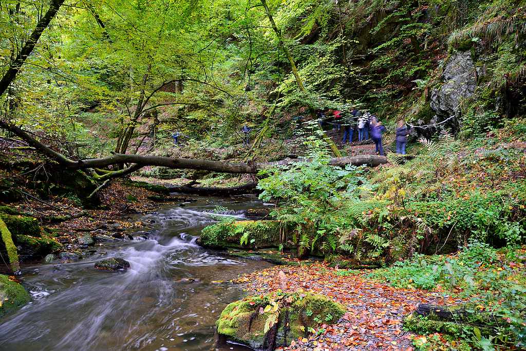 Baybach 0013
Taumschleife Baybachklamm bei leichtem Regen am 14.10.2012
D800E auf Sirui N-2204 und Kugelkopf K-20X
