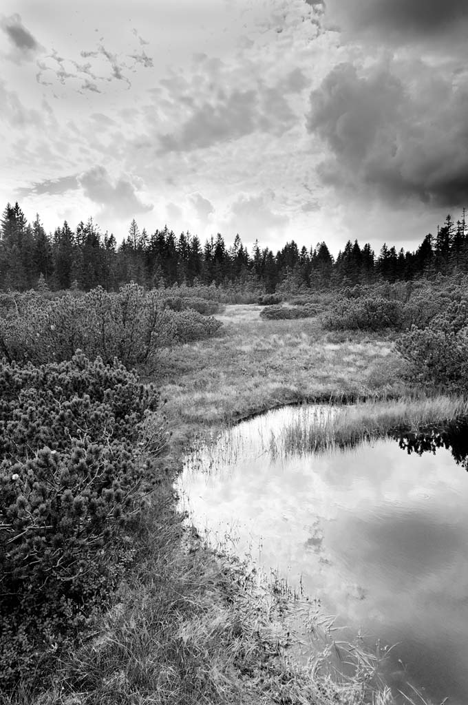 Bayerischer Wald, Schachten, Hochmoor