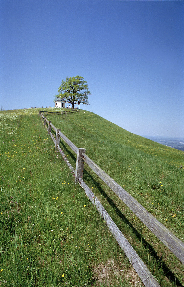 Bayern 51