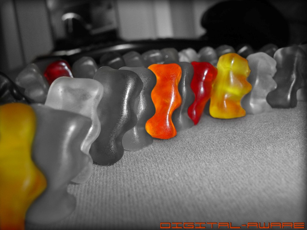 Bears