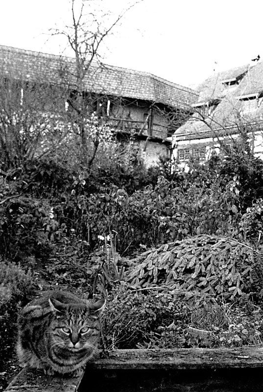 Bebenausen 8.11.2008