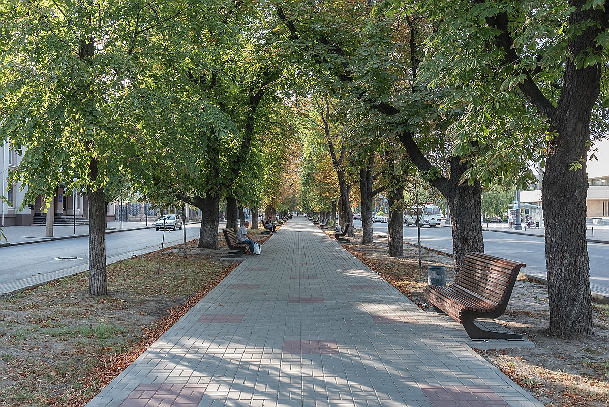 Begehfähige Allee zwischen den Fahrspuren des Boulevard Schewtschenko
