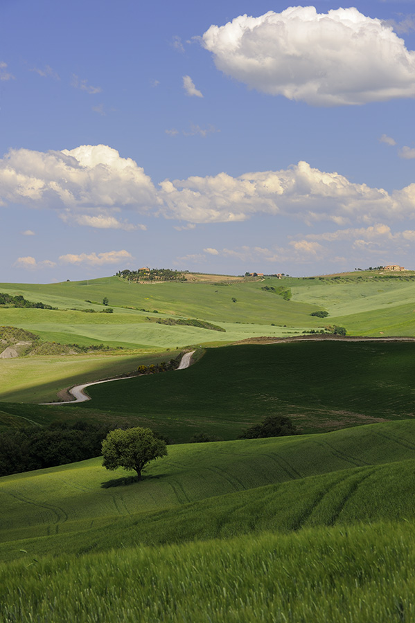 bei Pienza Mitte Mai