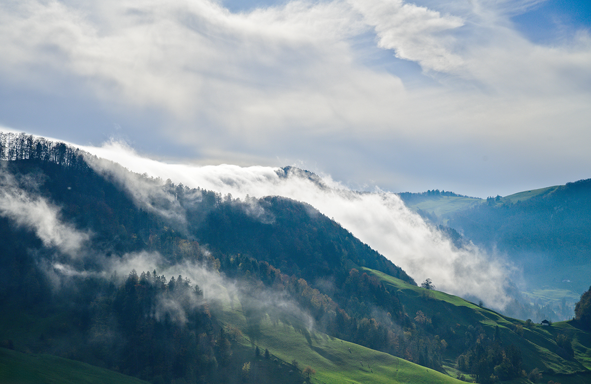 Beinwil_Z7A_8963_12.jpg