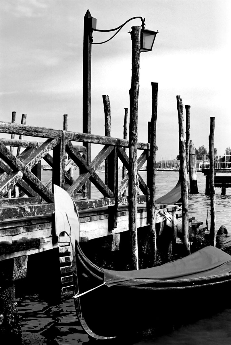 bella Venice