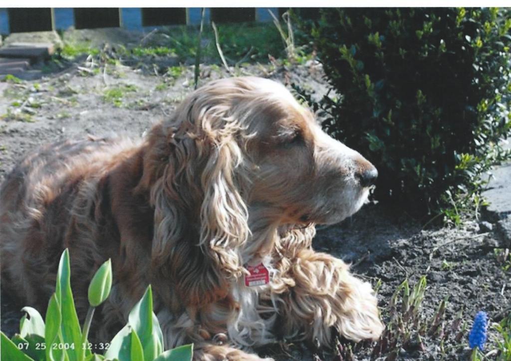 Benny 2004