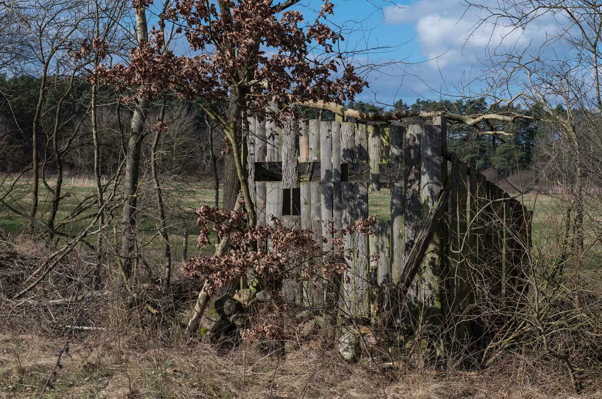 Beobachtungsstand (1 von 1).jpg