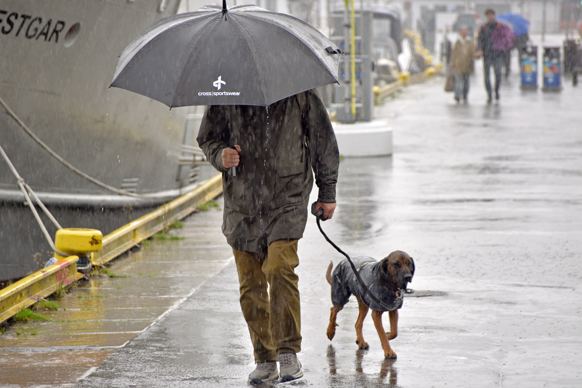 bergen_regen_1.jpg