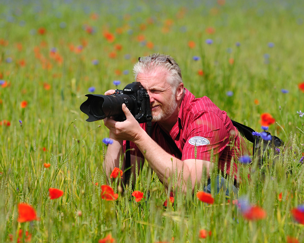 Bernd im Kornfeld