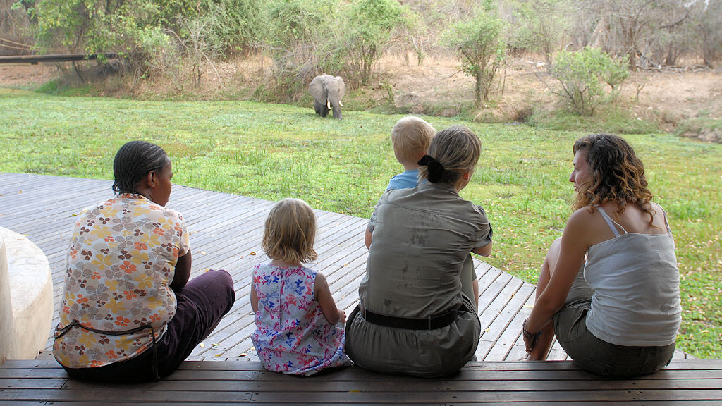 Besuch im Nkwali Camp.
Ein Elefant ist im Tümpel am Camp Restaurant und
wird von den Gästen beobachtet.
3033
