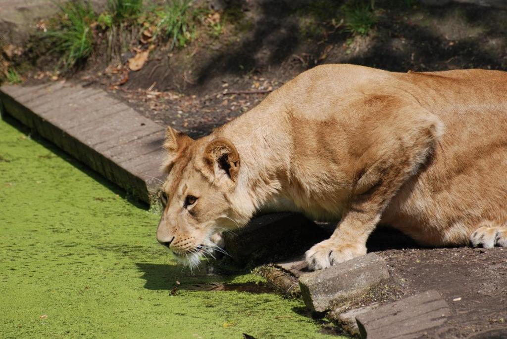 Besuch im ZOO 3